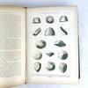 1st Edition Max Bauer Edelsteinkunde Gemology Book 1896