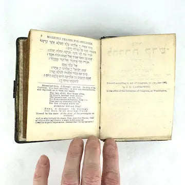 Antique Hebrew Siddur Prayer Book with Celluloid and Bone Cover