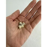 Antique Set of 4 Tiny Bovine Bone Dice