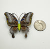 Antique Silver and Enamel Butterfly Brooch