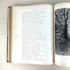 Rare Late 1800’s Milton’s Paradise Lost Illustrated by Gustave Dore