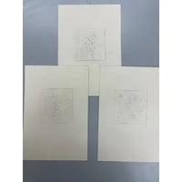 Set of Three Etchings of Zodiac Signs by Baldacci