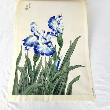 Vintage Japanese Woodblock Print Blue Irises by Eiichi Kotozuka