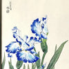 Vintage Japanese Woodblock Print Blue Irises by Eiichi Kotozuka